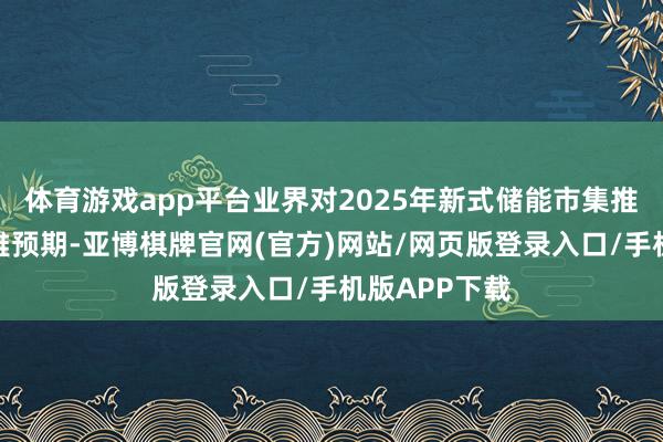 体育游戏app平台业界对2025年新式储能市集推崇合手乐不雅预期-亚博棋牌官网(官方)网站/网页版登录入口/手机版APP下载